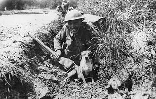 DCFE03 Great War. WW1 bread is served to troops in a front line trench