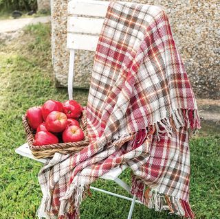 Fall throw blanket: Wayfair Jenine Plaid 100% Cotton Throw