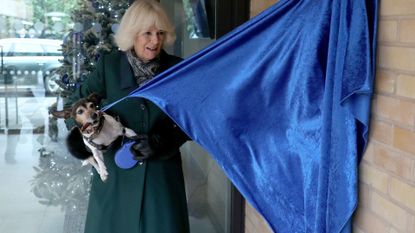 The Duchess Of Cornwall Visits Battersea Dogs Home In Windsor