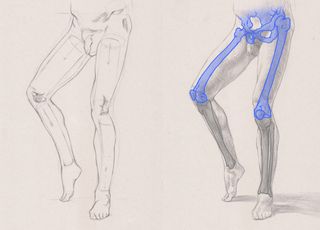 how to draw legs - leg sketches 