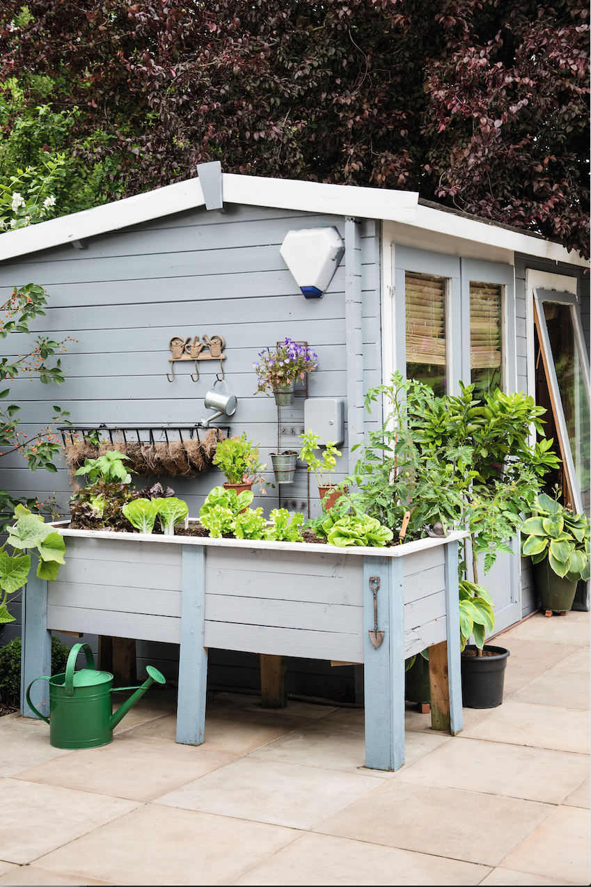 garden with a summer house and a vegetable patch