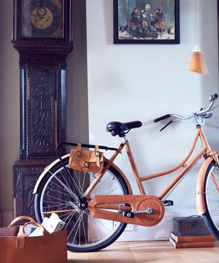 Hall, bicycle, antique grandfather clock