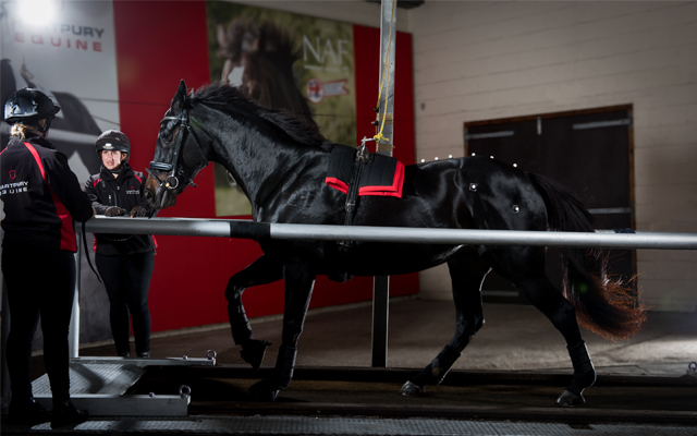 Hartbury-Equine-Feature-Image