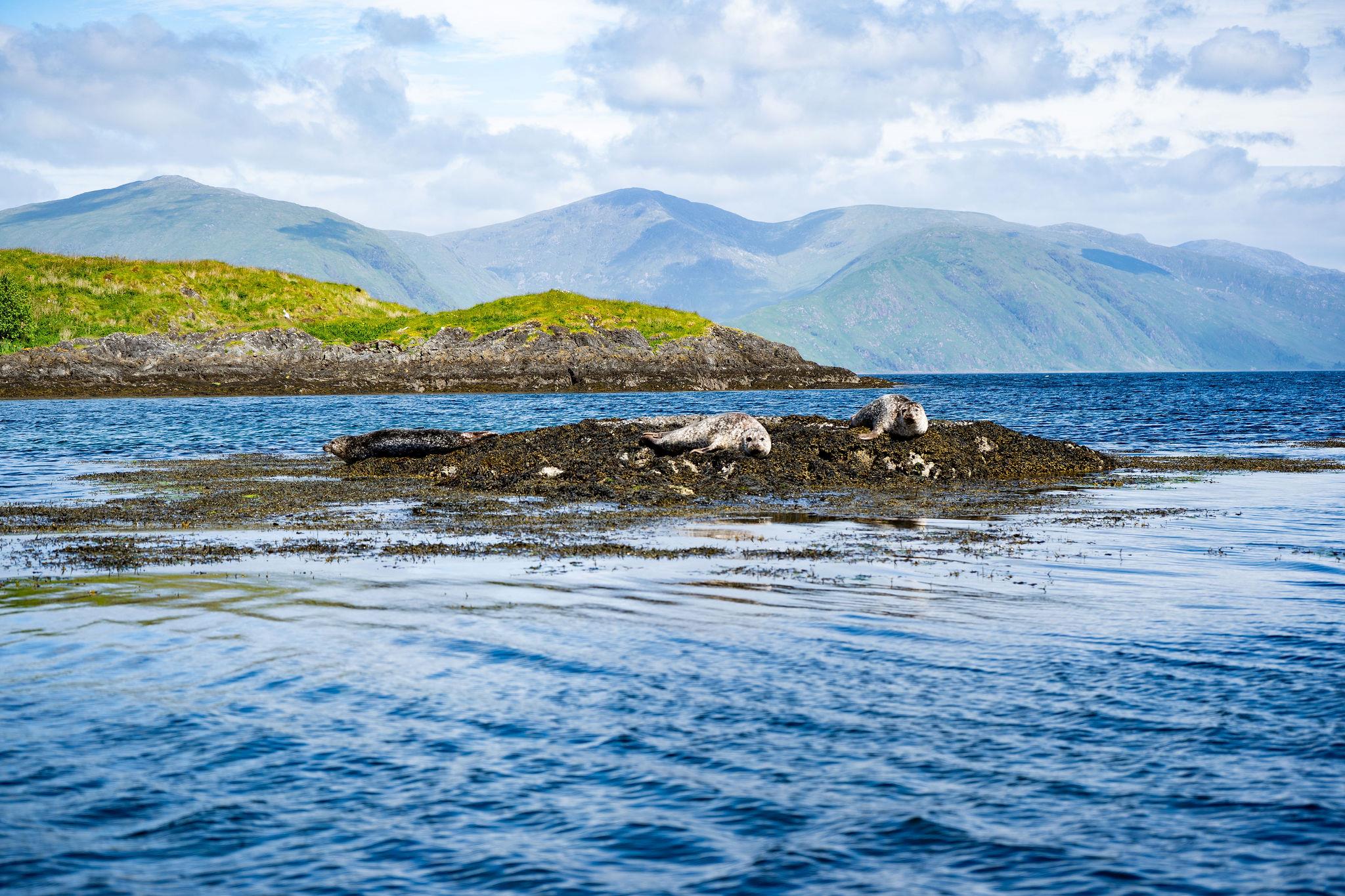 Eilean Loch Oscair Property for Sale