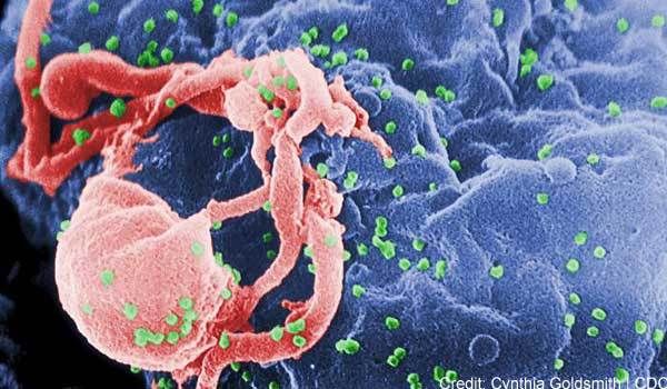 hiv immune cell