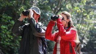 Canon 10x32 IS Binoculars