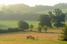 The garden at Banks Fee, Gloucestershire