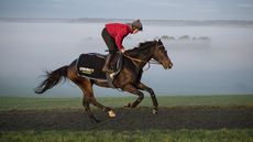 Altior-RP_ID00363668.jpg