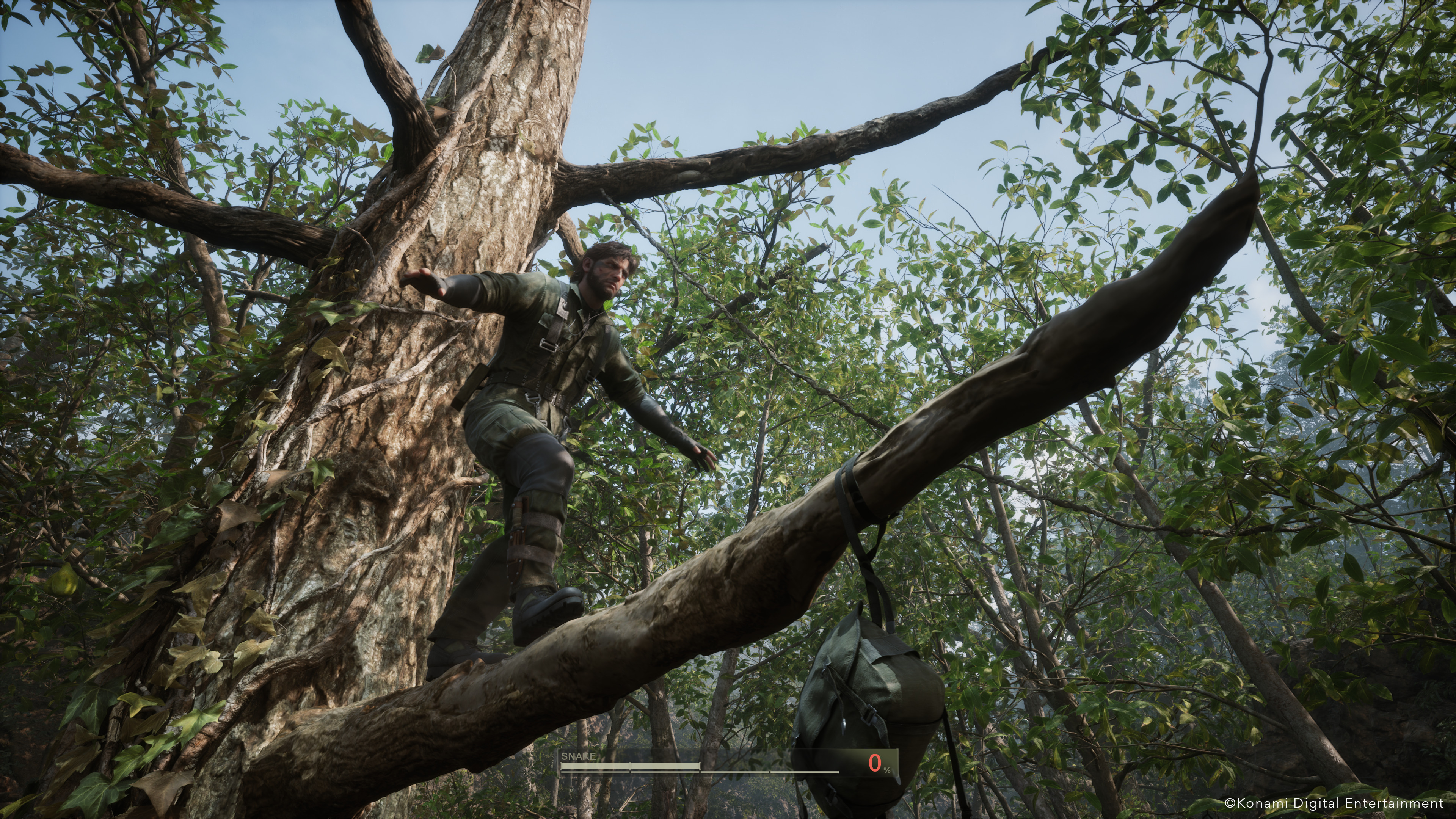 Naked snake walks on tiptoes along a branch.