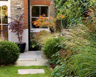 small urban garden with lawn, path and ornamental grasses in the border