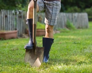 a gardener in shorts and navy wellington boots with their foot resting on an old garden spade