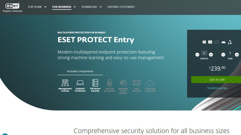 Tangkapan layar situs web untuk ESET Protect Entry