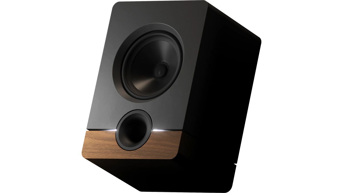 Output Monitor Speaker