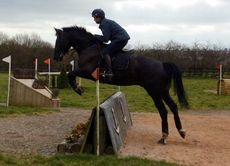 Rosie Fry's Archie cross-country schooling