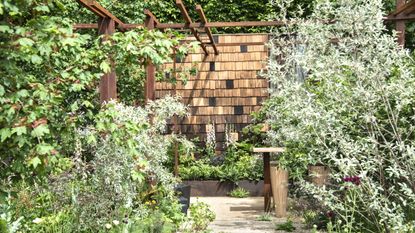 Shrubs and trees set against a wooden and metal backdrop at the RHS Chelsea Flower Show 2026