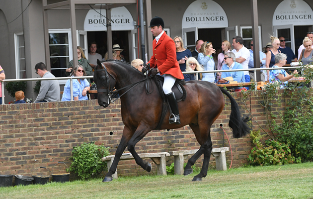 RIHS 28 07 2018