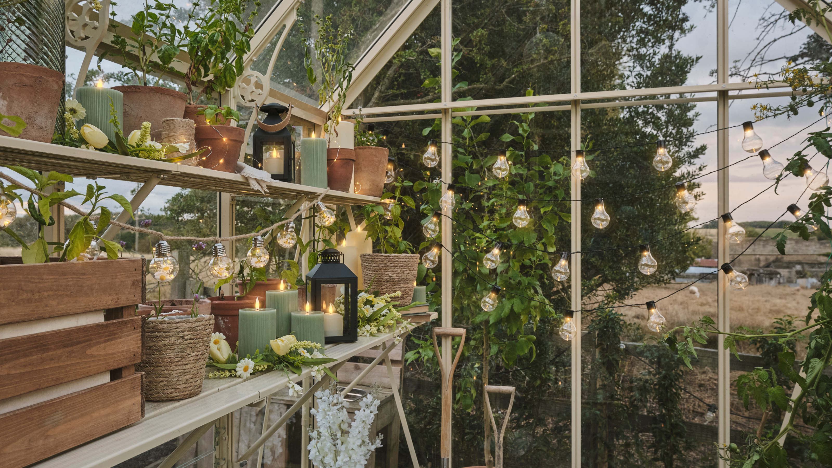 Inside a greenhouse decorated with festoon lights.