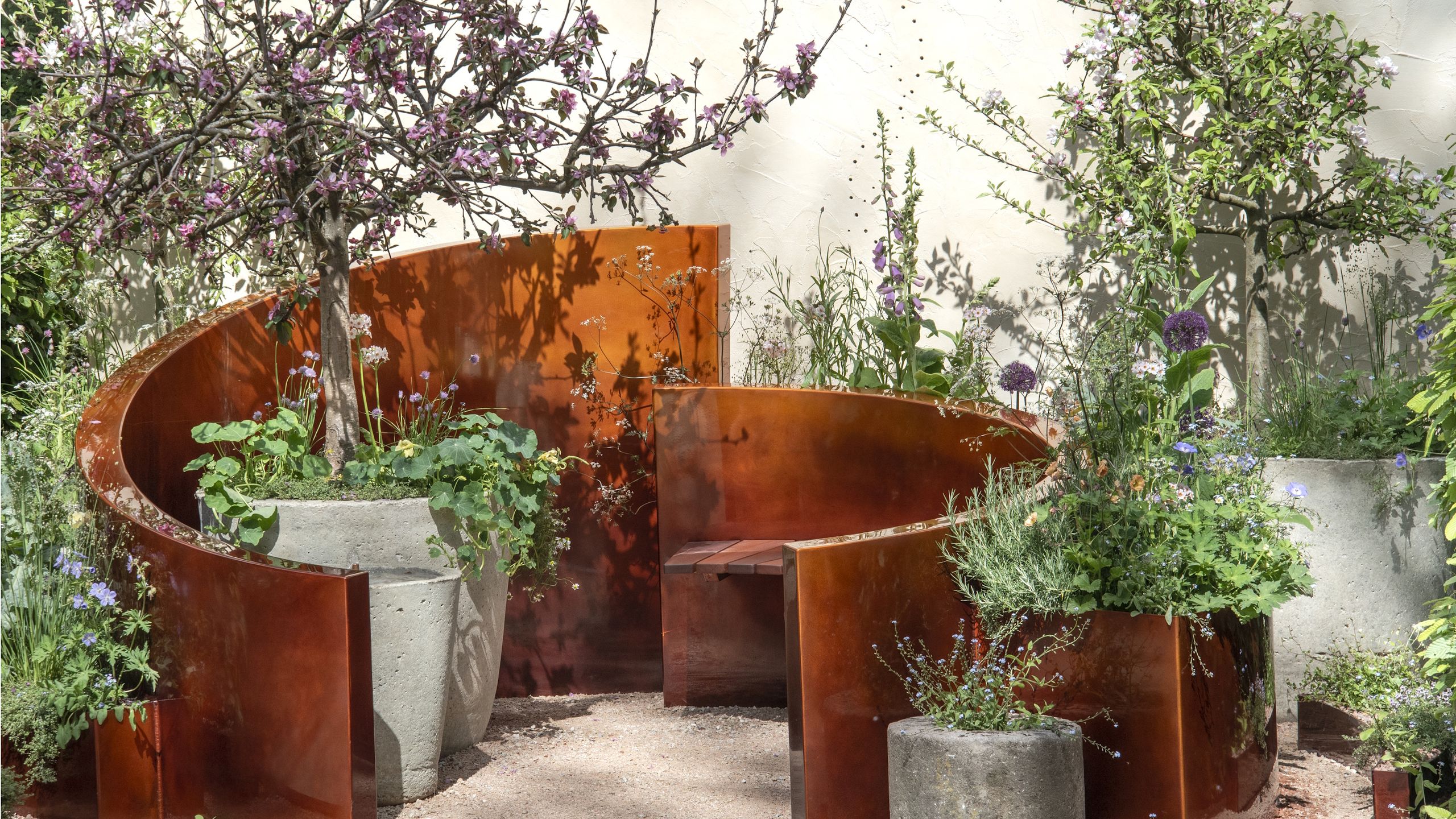 7 Tall Plants for Pots Garden Designers Use to Add Height and Drama to Patios