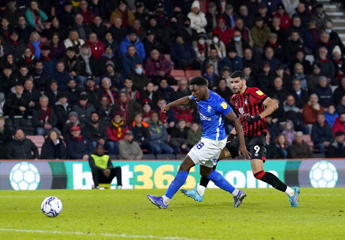 AFC Bournemouth v Birmingham City – Sky Bet Championship – Vitality Stadium