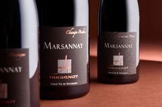 Marsannay-cuvees-6-domaine-huguenot-MARSANNAY-FIXIN-GEVREY-CHAMBERTIN-vigneron-independant.jpg