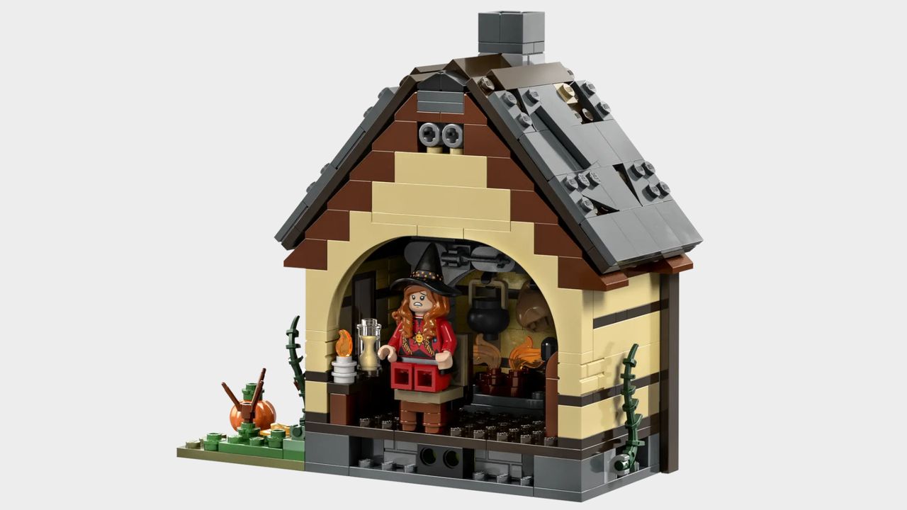 Lego Hocus Pocus set on a plain background