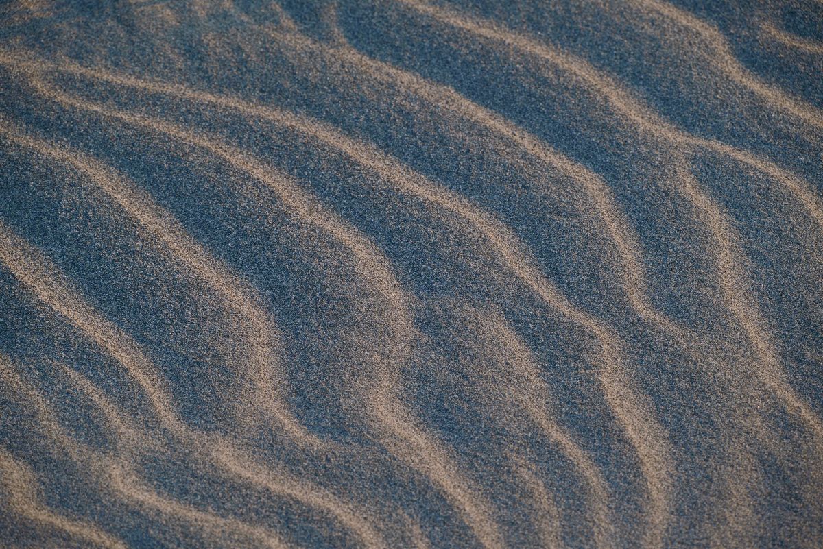 Sample images from the Sigma FP2