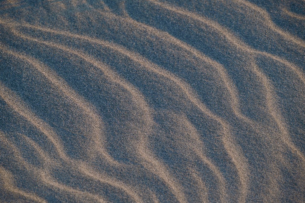 Sample images from the Sigma FP2