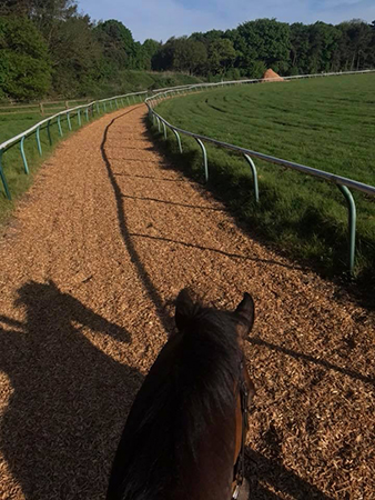 Matthew Wright Prince Mayo gallops