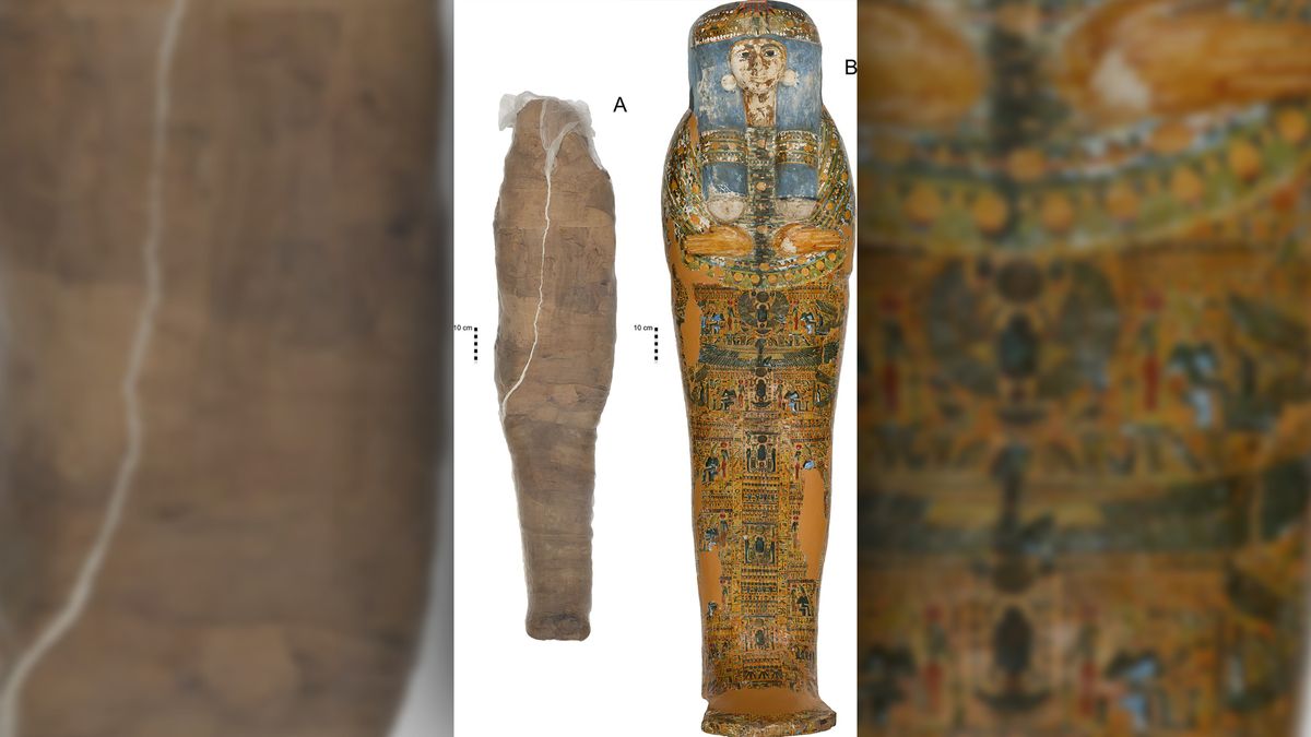 This beautifully decorated coffin (right) doesn&#039;t belong to the unusual mud-wrapped mummy (left) that was found inside it.