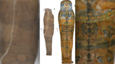 This beautifully decorated coffin (right) doesn't belong to the unusual mud-wrapped mummy (left) that was found inside it.