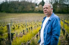 St&eacute;phane Derenoncourt, wine consultant