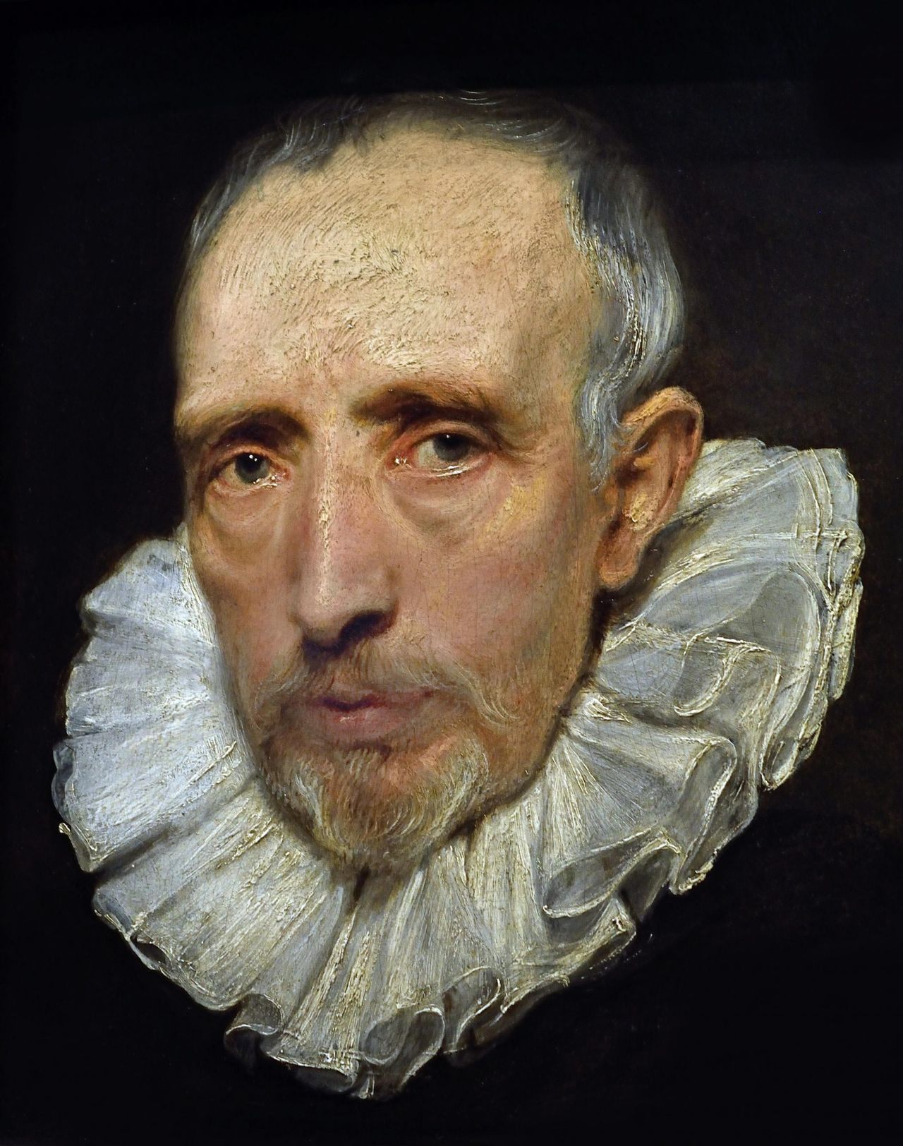 Cornelis van der Geest, about 1620, 14¾in by 12¾in, by Sir Anthony van Dyck (1599–1641), National Gallery, London.