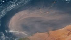 A satellite photo of a large orange dust cloud over the ocean along the coast of West Africa