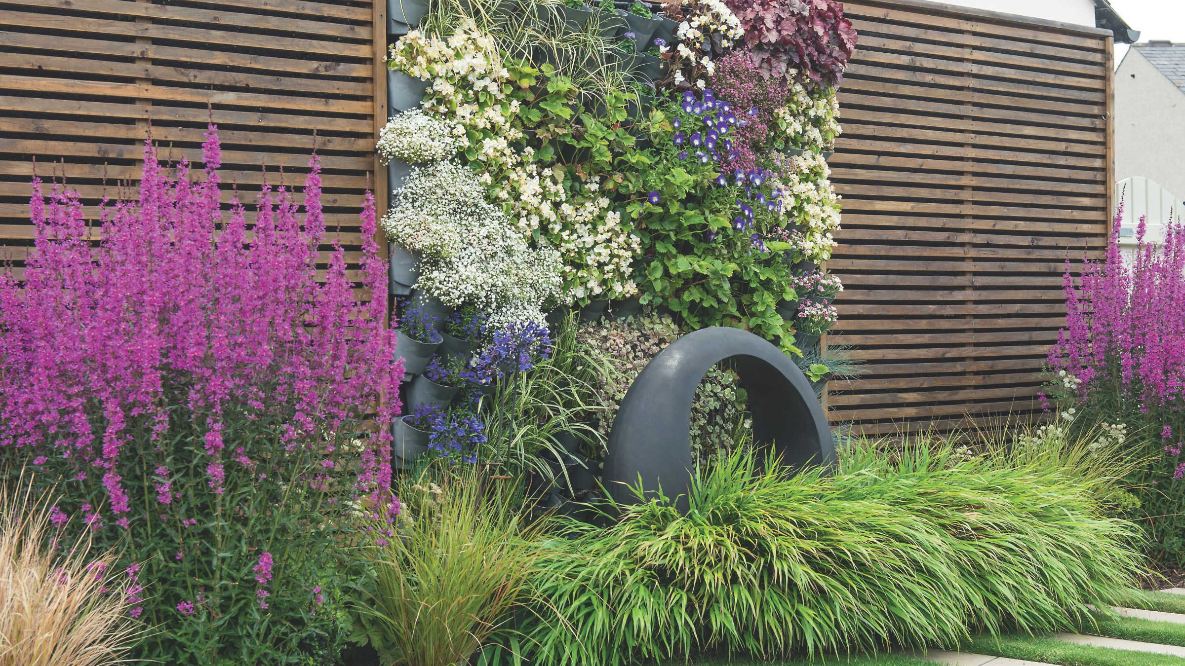 Ornamental grasses growing on a garden border in front of a wooden fence and vertical planting structure.