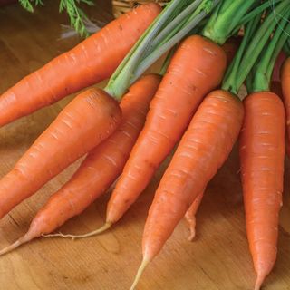 Carrot, Yaya Organic
