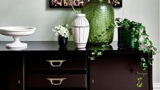 How to propagate ivy in water