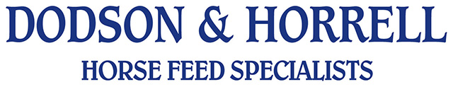 DODSON &amp;amp; HORRELL LOGO BLUE non shadow