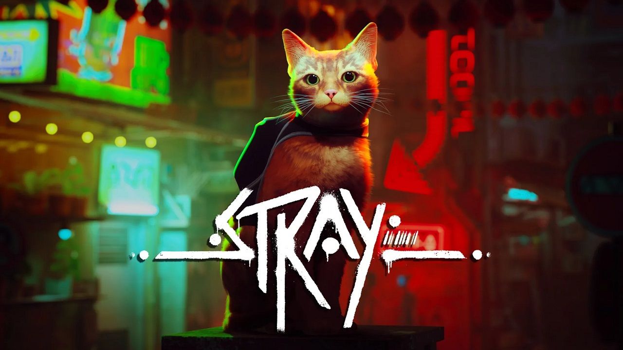 Stray promo image