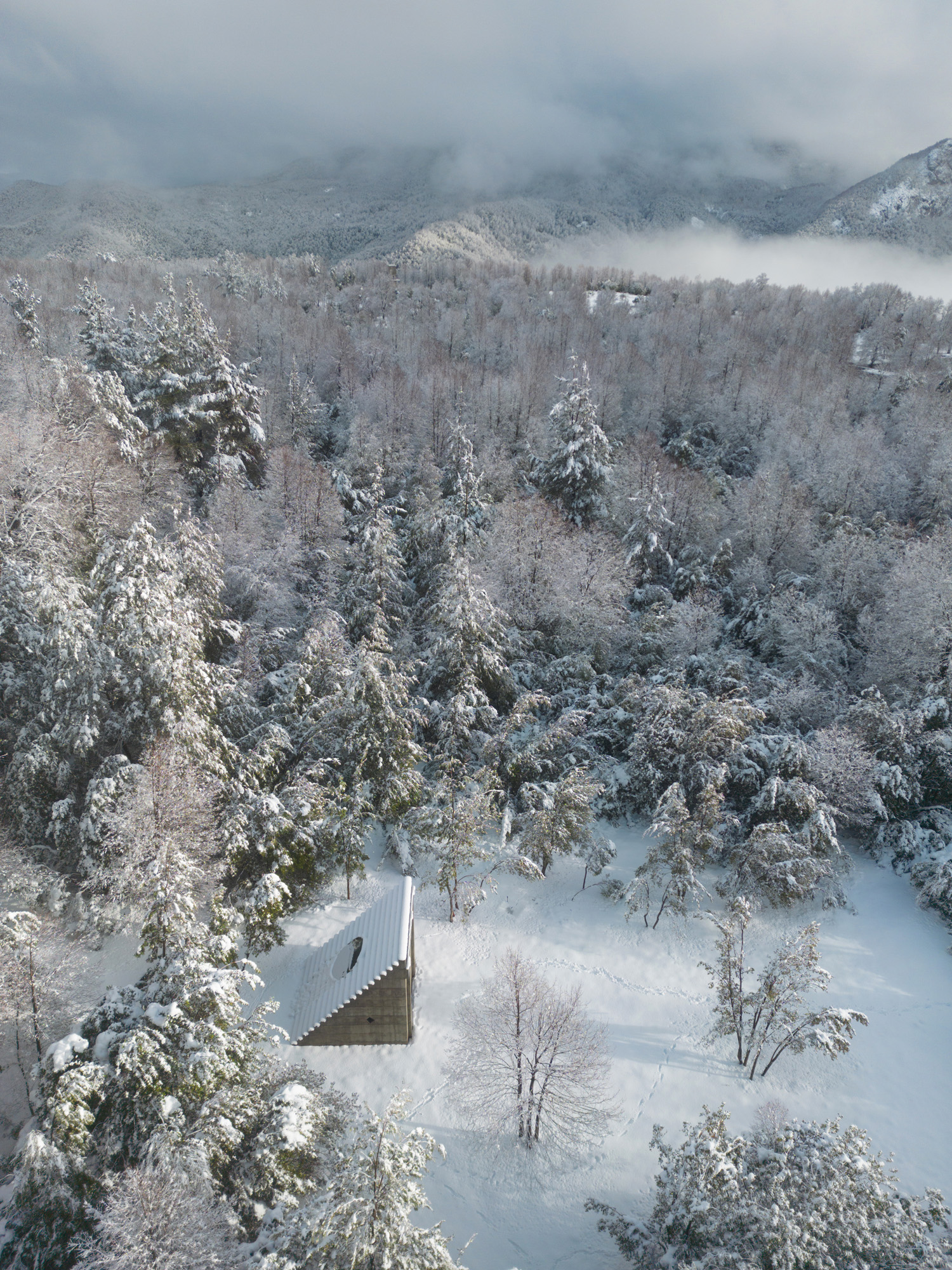 Miel Pavilion, a small, concrete chilean pavilion by Pezo von Ellrichshausen set in the countryside