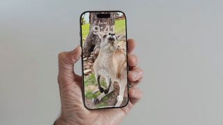 A Spatial Scene 3D wallpaper in iOS 26 demonstrated on an iPhone at Apple's Worldwide Developers Conference (WWDC) in June 2025.