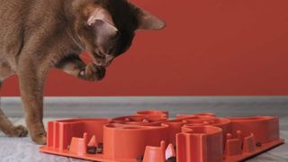 best cat puzzle feeder