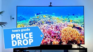 TCL Q6 QLED TV displaying coral reefs