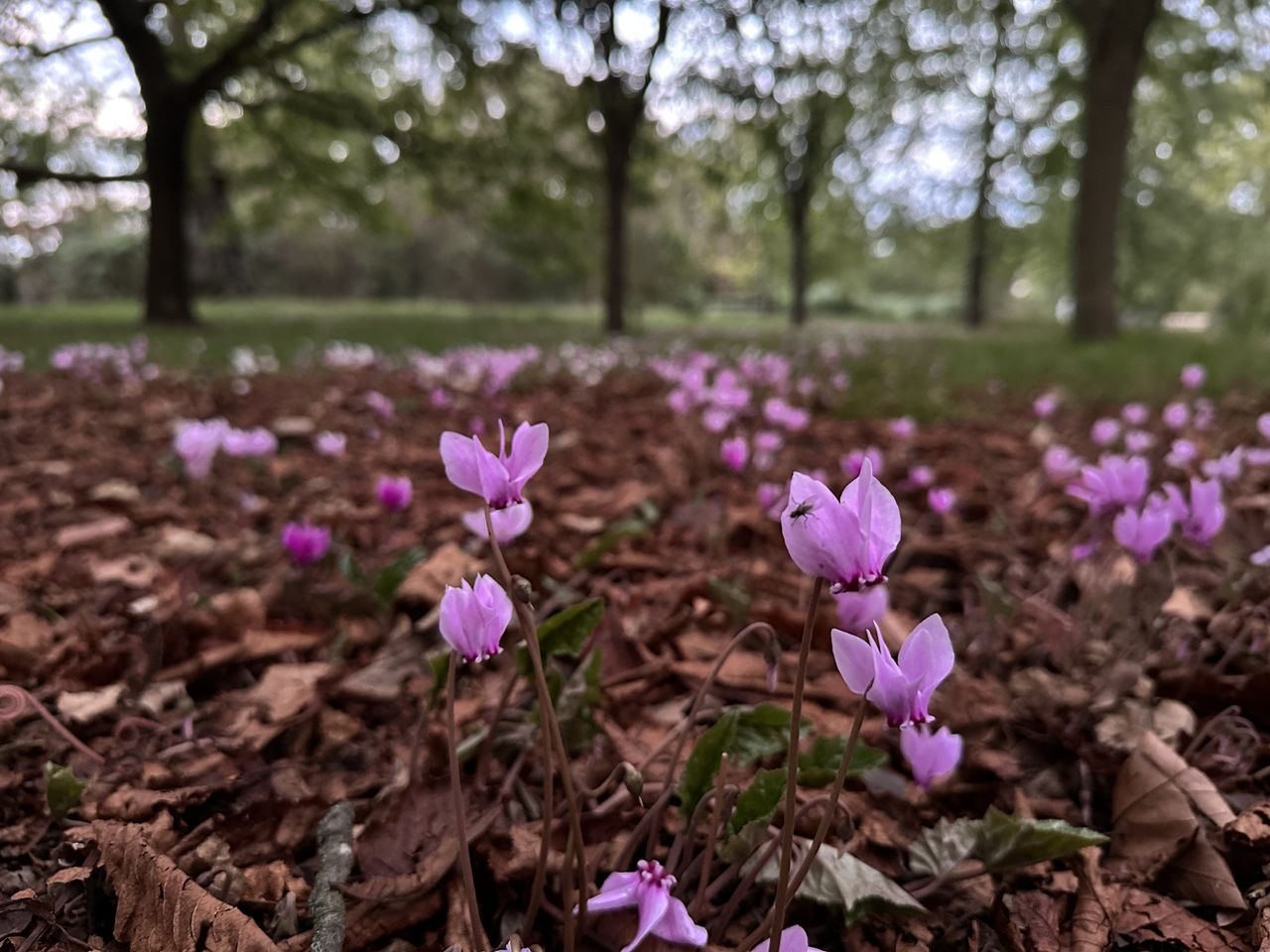 A photo taken on the iPhone 14 Pro