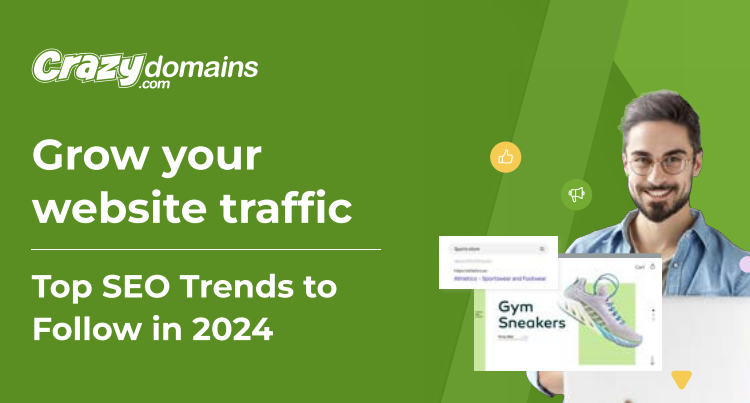 whitepaper from crazy domains about SEO traffic