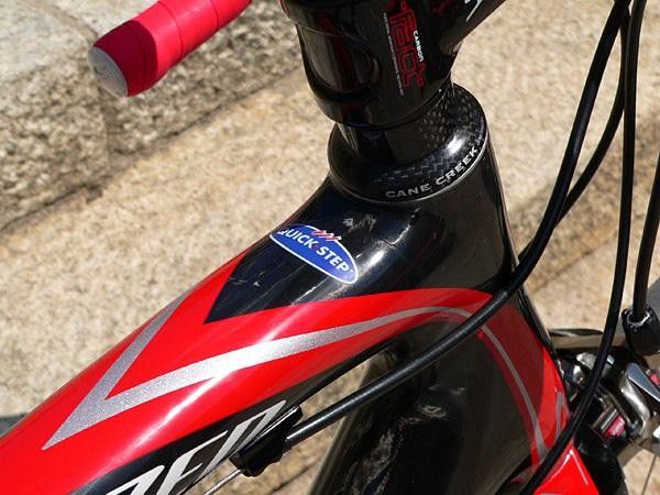 The S-Works Tarmac SL2 will be available in team colors.