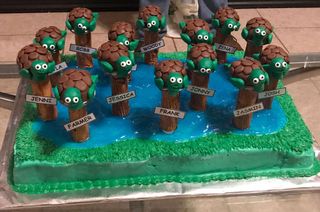 A cake with 14 turtles atop 14 posts "in a Harvey flood" celebrates the new nickname of the 2017 astronaut class.