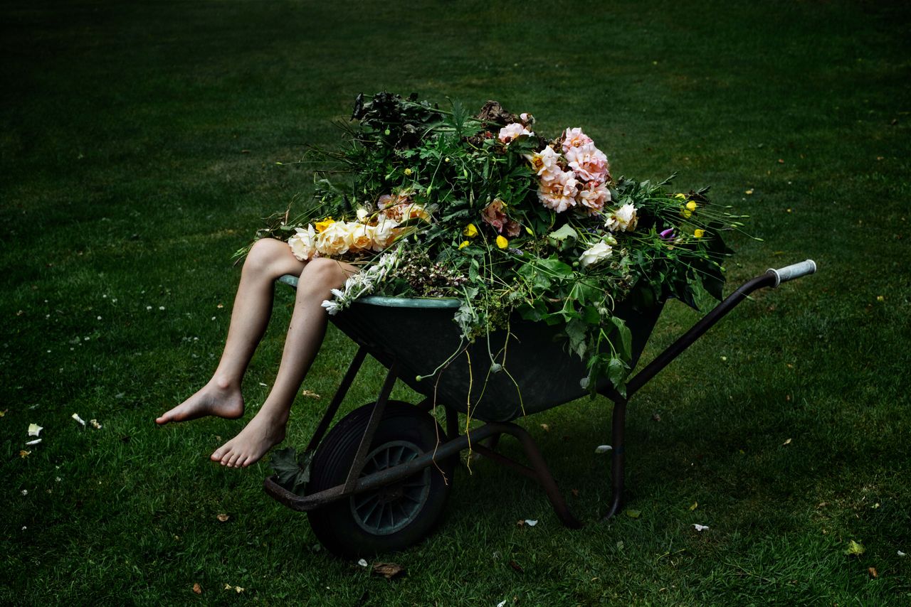 Artwork of woman in wheelbarrow covered in flowers