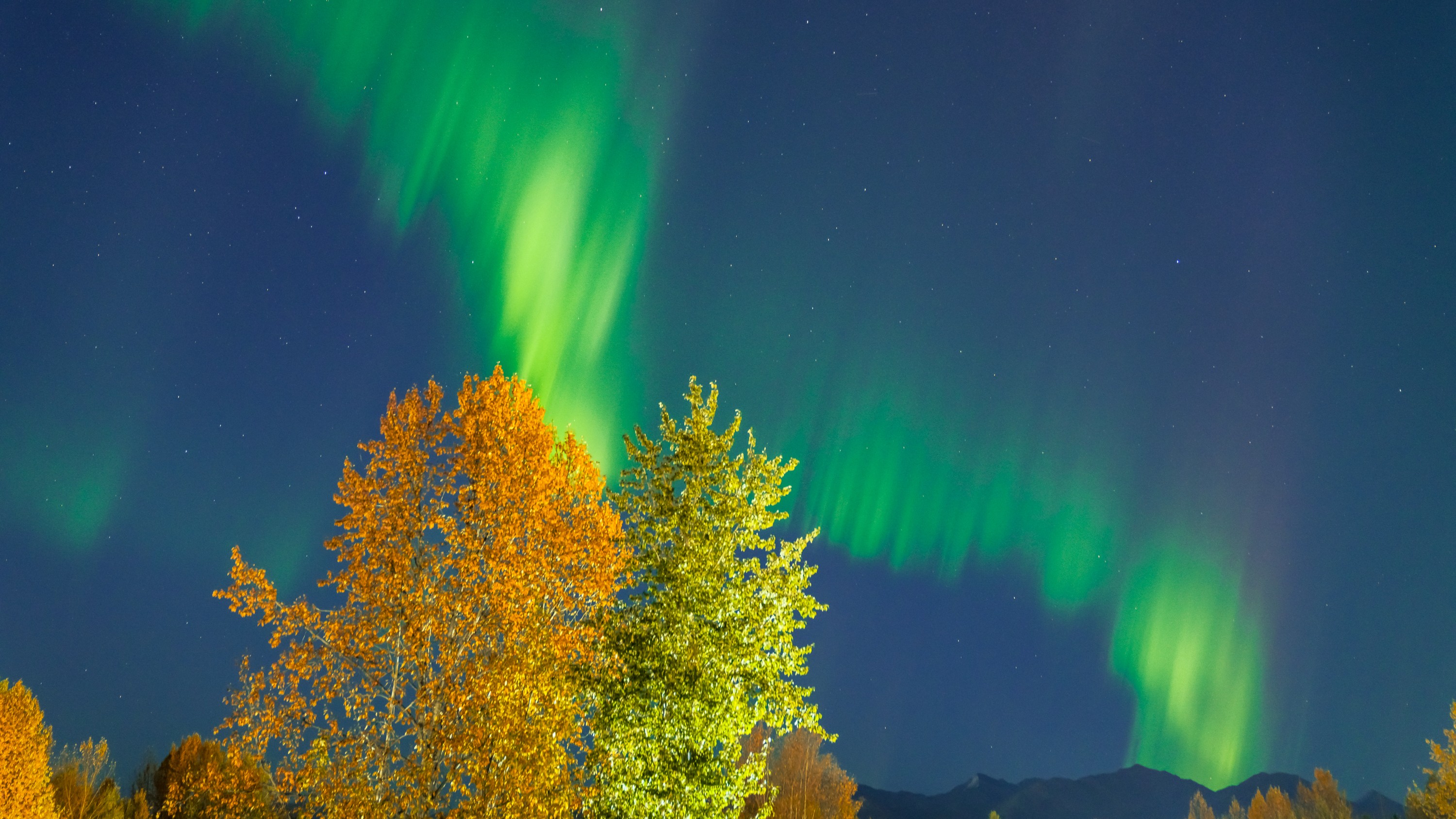 Auroras spotted over Anchorage, Alaska in Sept. 2025