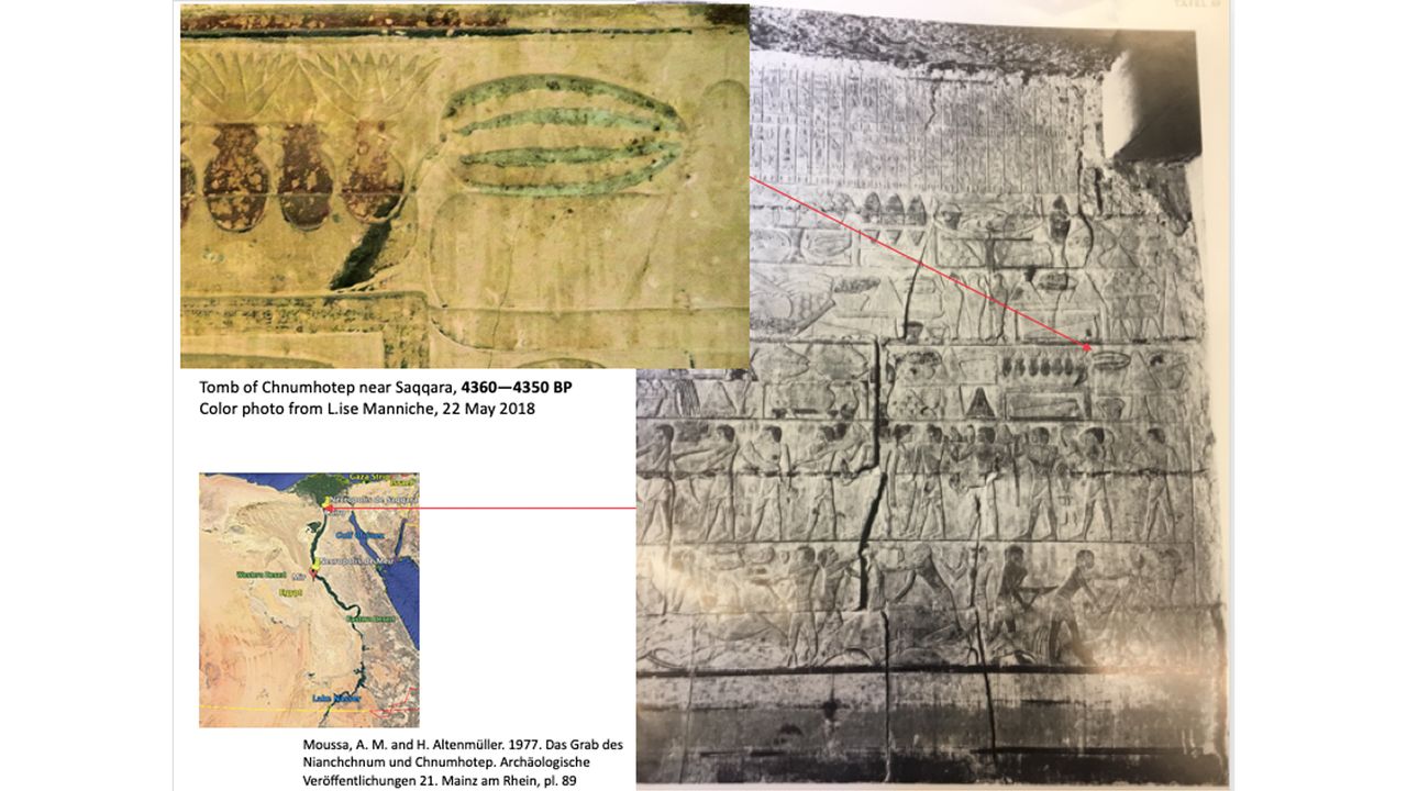 A magnified look at the watermelon-like painting on the tomb in Saqqara.