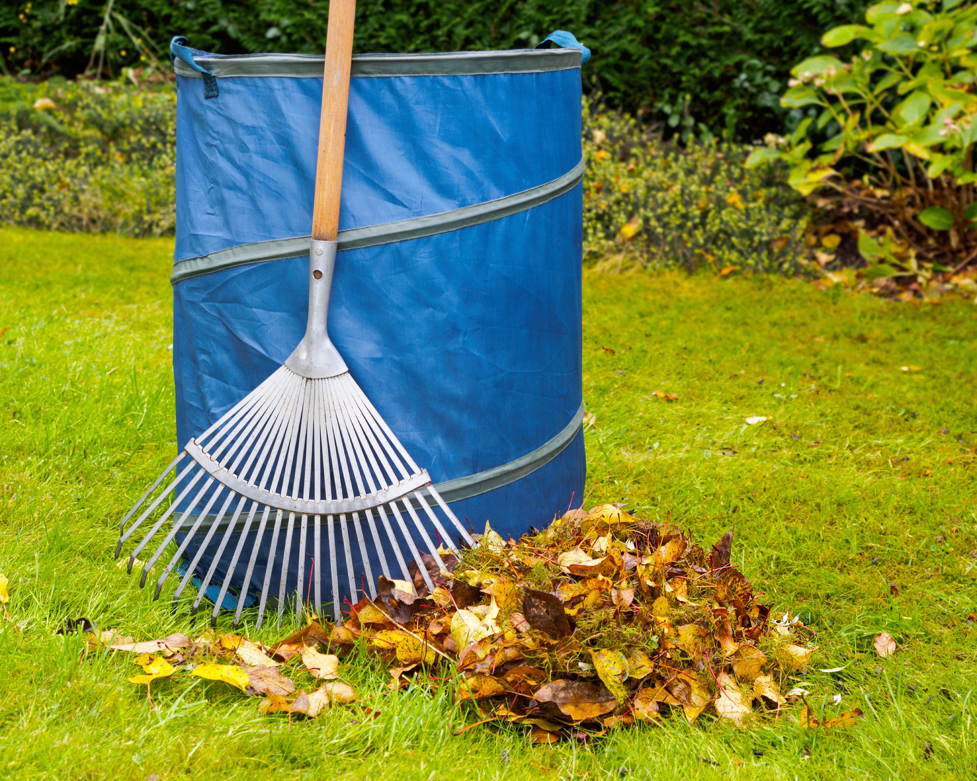 collapsible bin for leaves with rake in yard